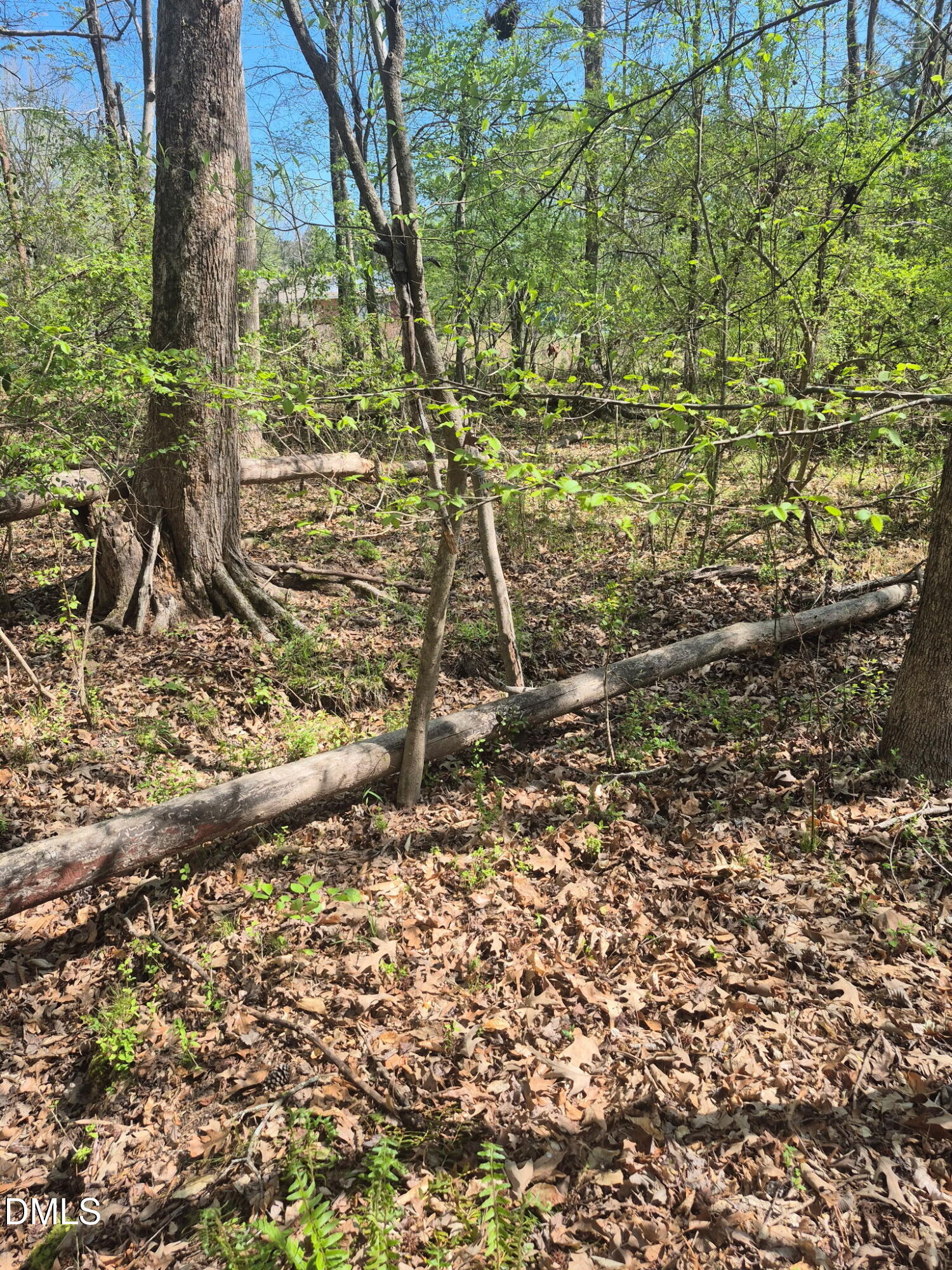 Land in Durham 3