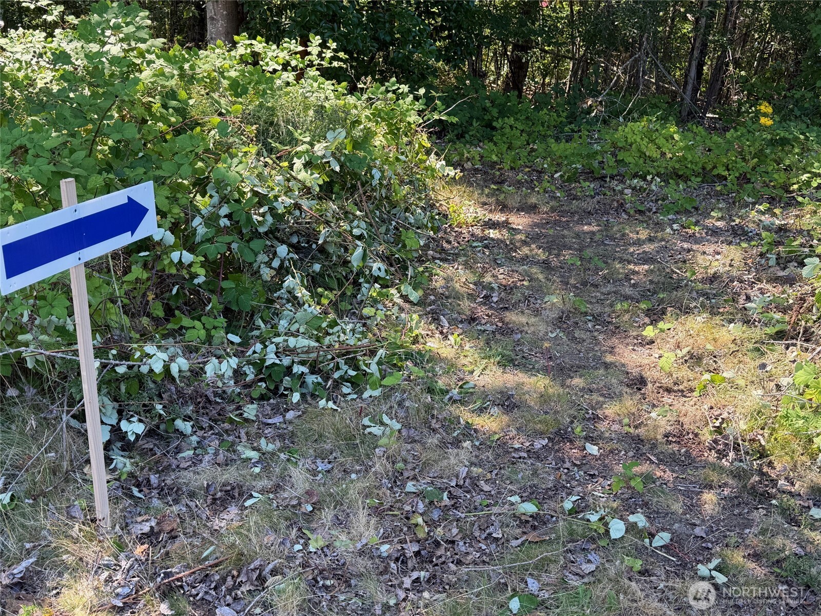 Land in Gig Harbor 5