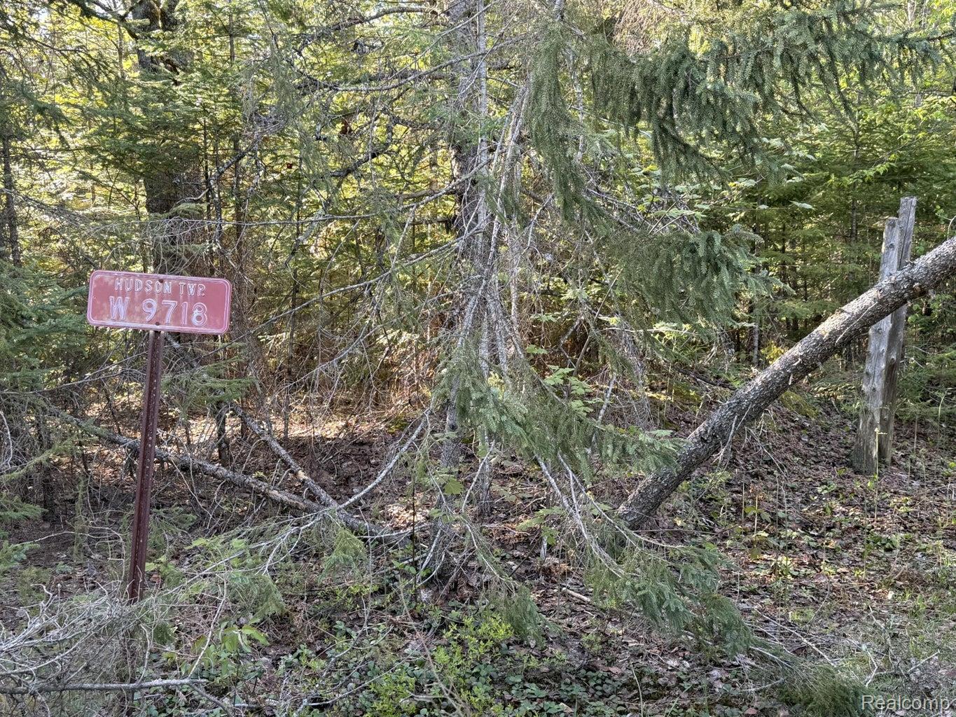 Land in Hudson Township 3