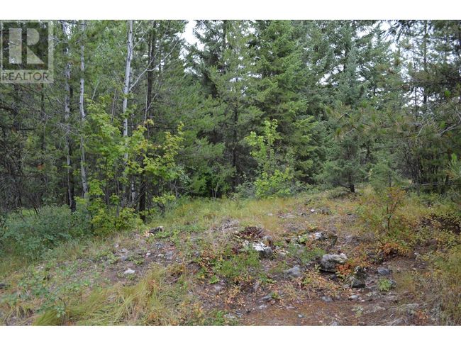 Lot 1 3 Rd St, Home with 0 bedrooms, 0 bathrooms and null parking in Kootenay Boundary BC | Image 15
