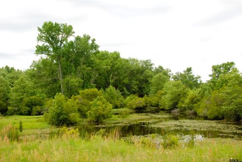 000 Fm 857, Grand Saline, TX, 75140 | Card Image