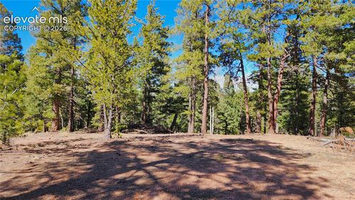 178 Gerka Ln, FLORISSANT, CO, 80816-9284 | Card Image