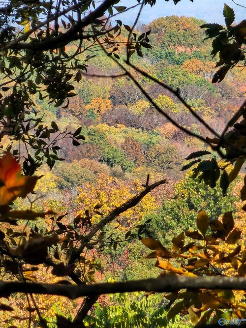 22.4 ACRES Northwest Rd, Moulton, AL, 35650 | Card Image