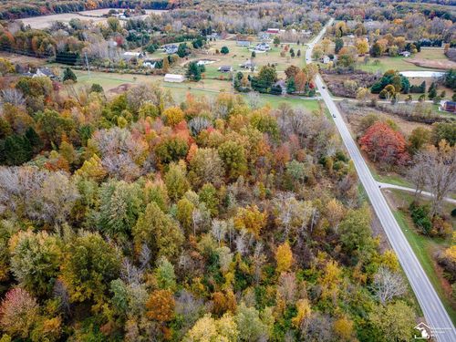 Parcel A Summerfield Road, Summerfield Township, MI, 49270 | Card Image