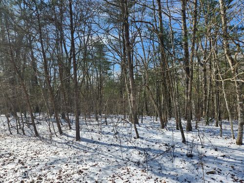 219 Newcastle Ln, Crossville, TN, 38558 | Card Image