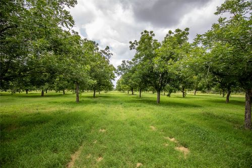 2432 County Road 402 B, Falfurrias, TX, 78355 | Card Image