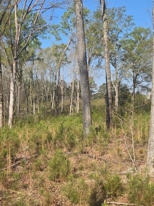 0 Mercier Rd, Lincolnton, GA, 30817 | Card Image