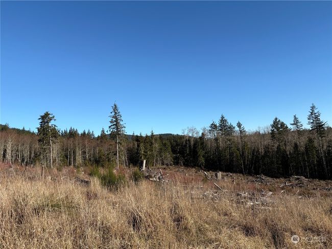 0 Sequim Ave S, Home with 0 bedrooms, 0 bathrooms and null parking in Sequim WA | Image 6