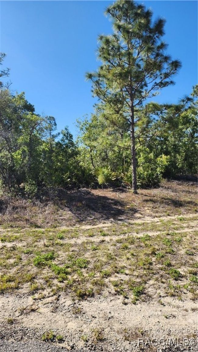 6204 N Hobson Ter, Home with 0 bedrooms, 0 bathrooms and null parking in DUNNELLON FL | Image 7