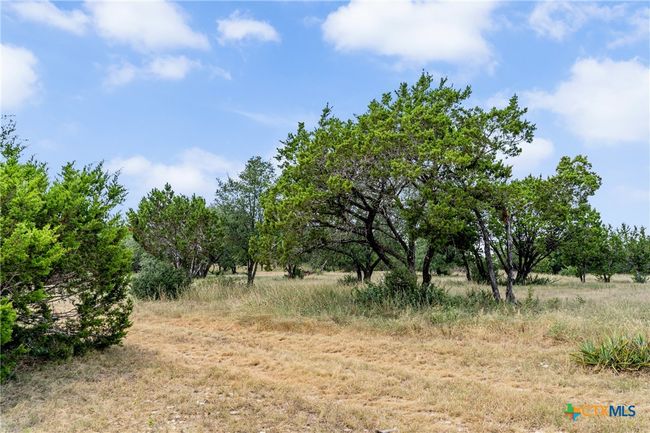 12290 Crows Ranch Rd, Home with 0 bedrooms, 0 bathrooms and null parking in Salado TX | Image 11