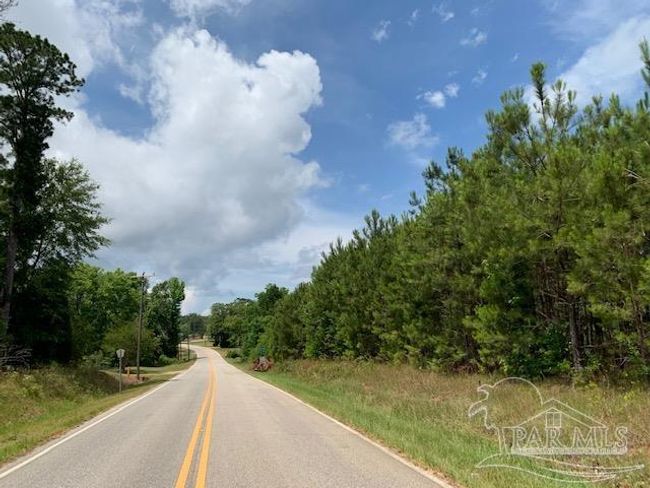 19600 Highway 43, Home with 0 bedrooms, 0 bathrooms and null parking in Grove Hill AL | Image 7