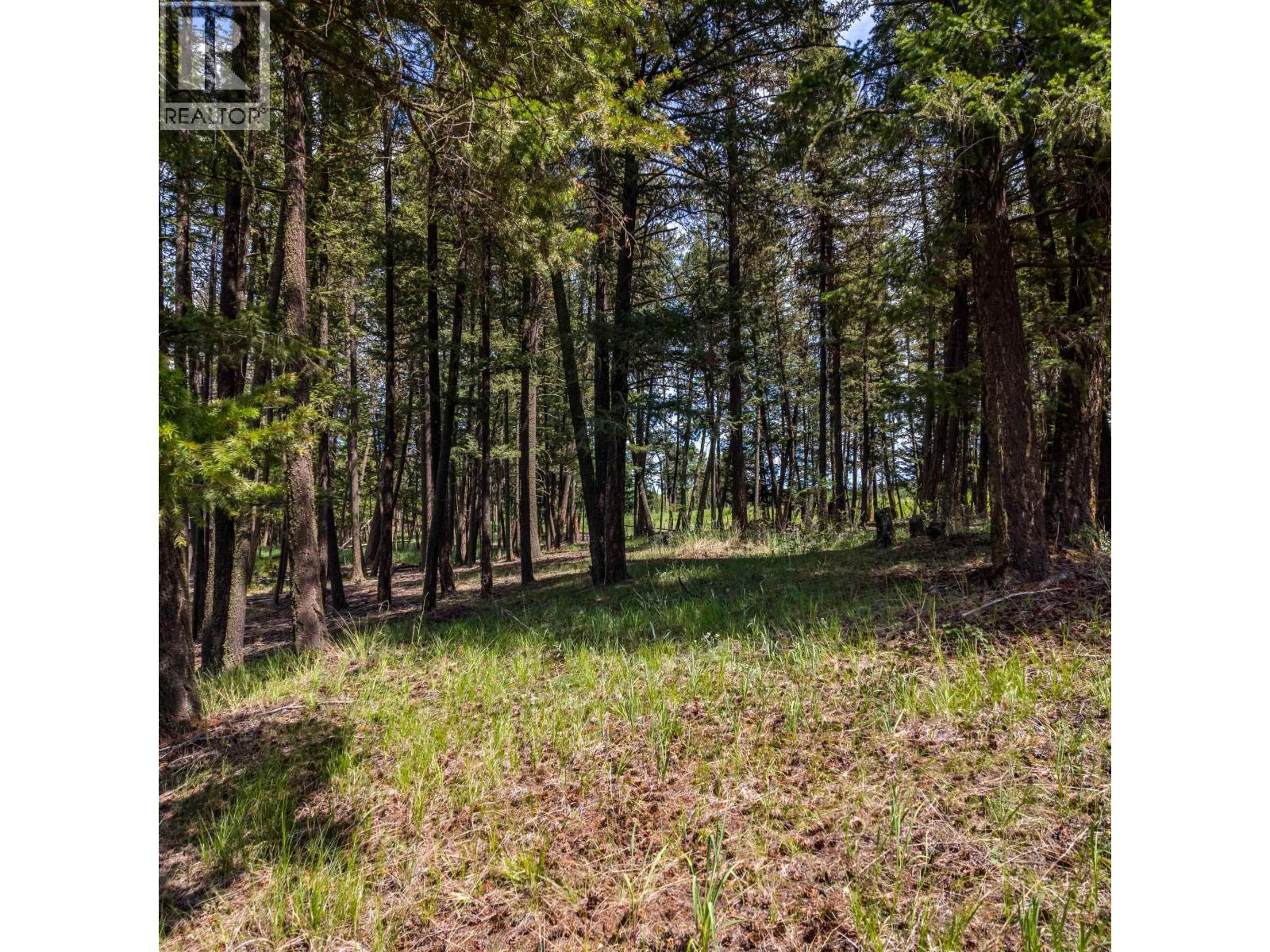 Land in Lac La Hache 3