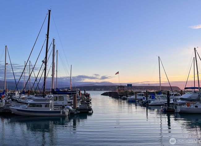 The marina at sunset is lovely. | Image 29