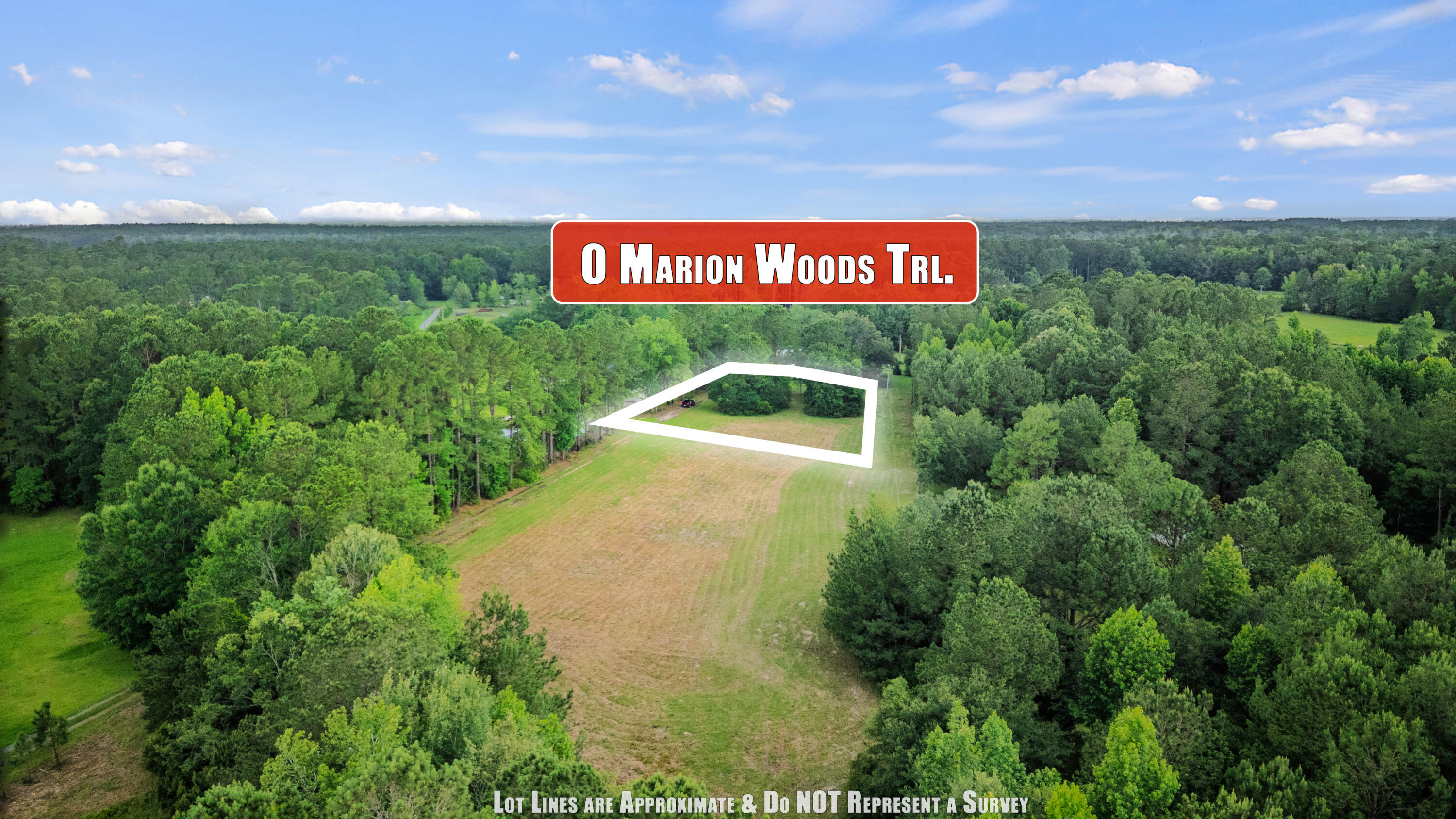 Land in Bonneau 2