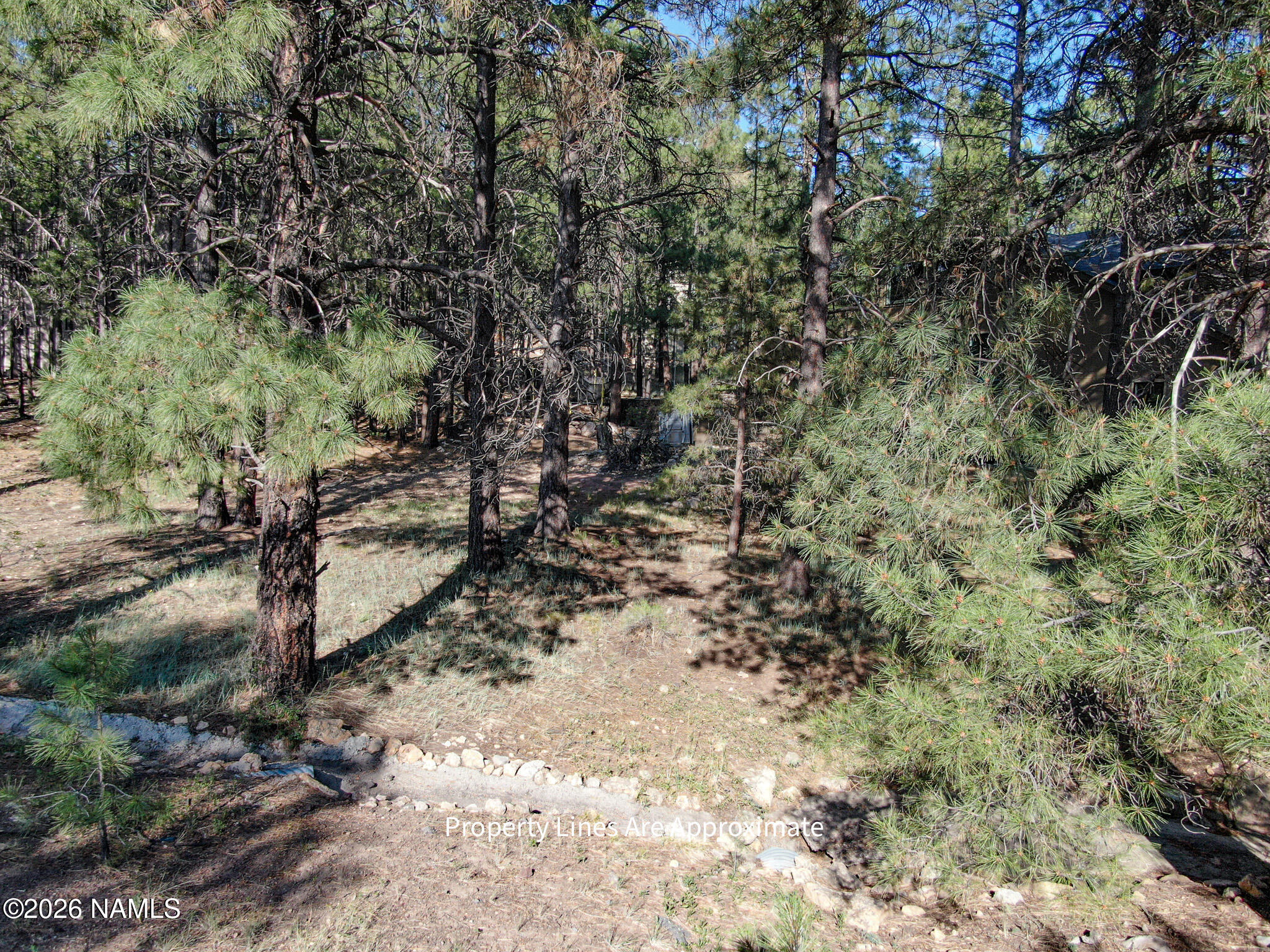 Land in Flagstaff 3
