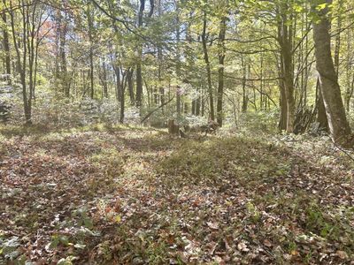 Part of the cleared area at the top of the hill!! Perfect building location!! | Image 1