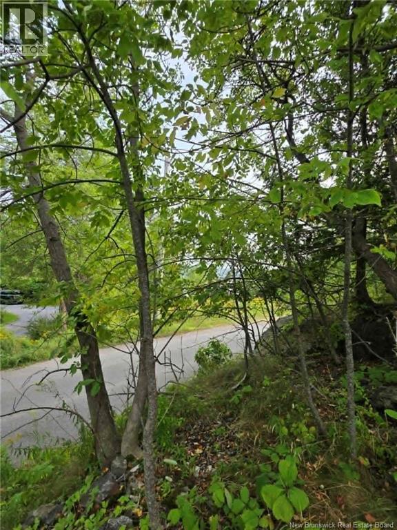 Land in Saint John 2
