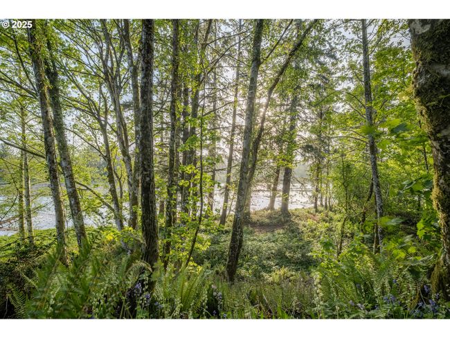 92216 Whiskey Rd, House other with 6 bedrooms, 3 bathrooms and 2 parking in Warrenton OR | Image 38