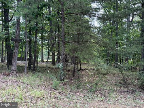 Lot 95 Logger Dr, GORE, VA, 22637 | Card Image