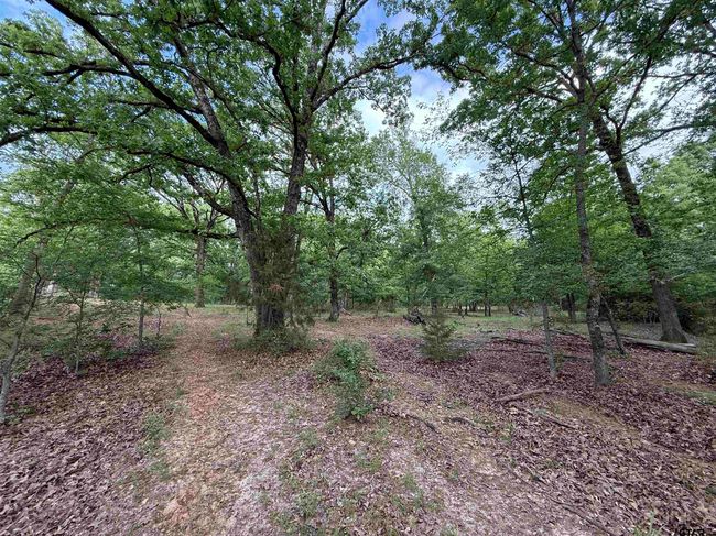 72 Acres N Farm Road 900, Home with 0 bedrooms, 0 bathrooms and null parking in Saltillo TX | Image 38