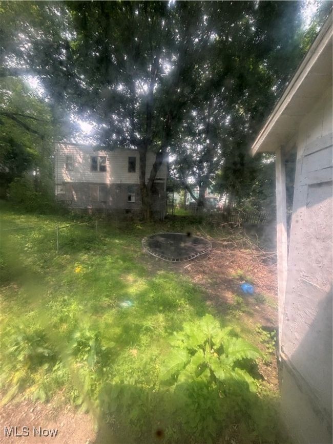 View of yard | Image 14