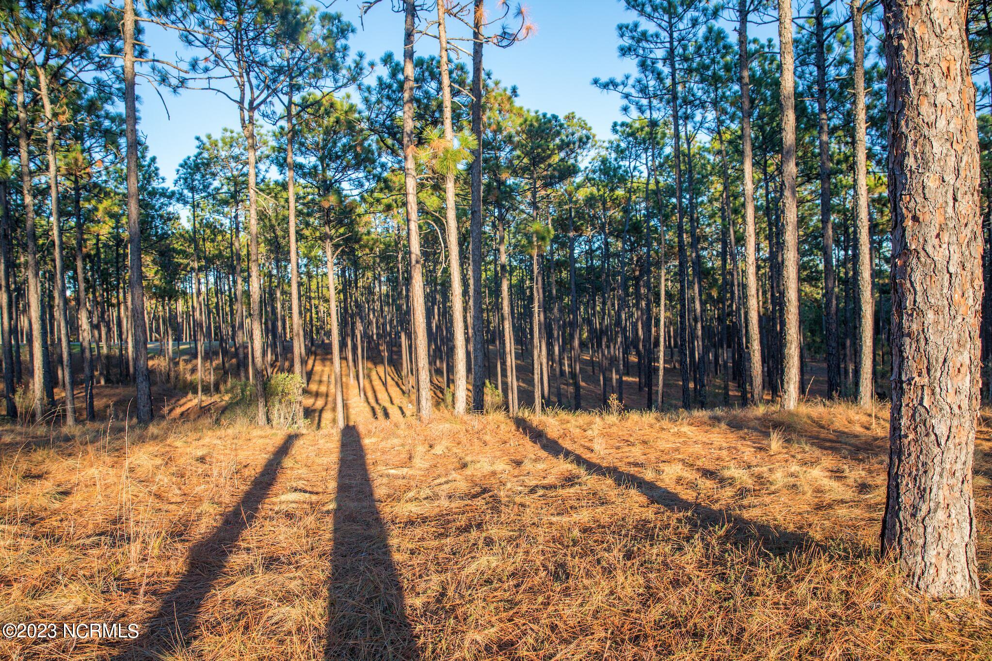 Land in Southern Pines 3