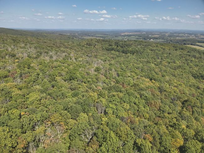0 Forest Rd, Home with 0 bedrooms, 0 bathrooms and null parking in Boswell PA | Image 16