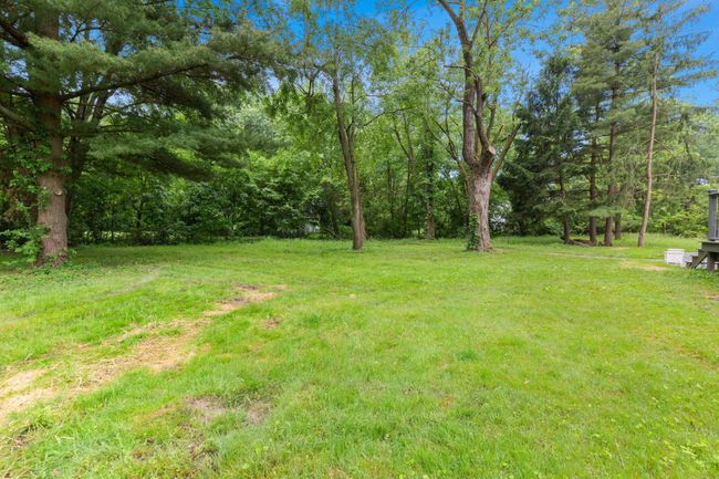 66-web-or-mls-5D9A5889 | Image 69