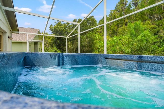 Swim Spa | Image 30