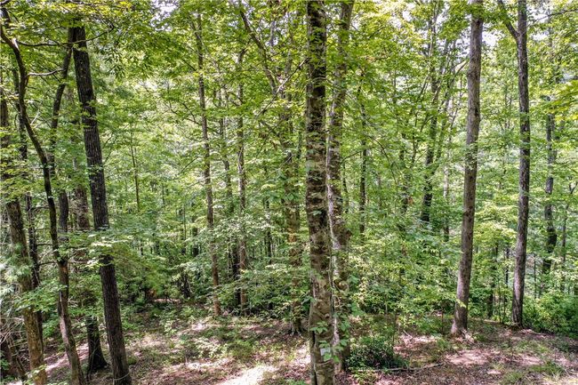 533 Shooting Tree Way, Home with 0 bedrooms, 0 bathrooms and null parking in Salem SC | Image 18