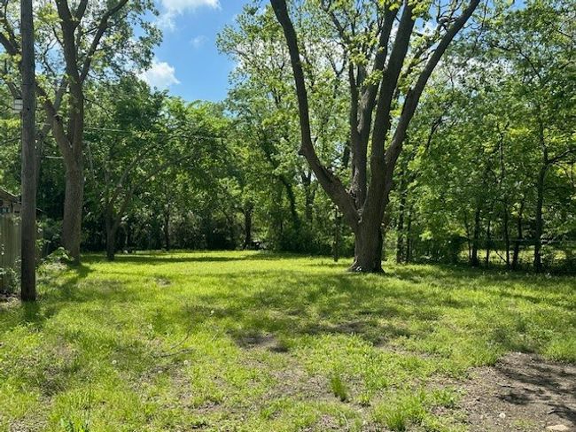 Back yard | Image 8