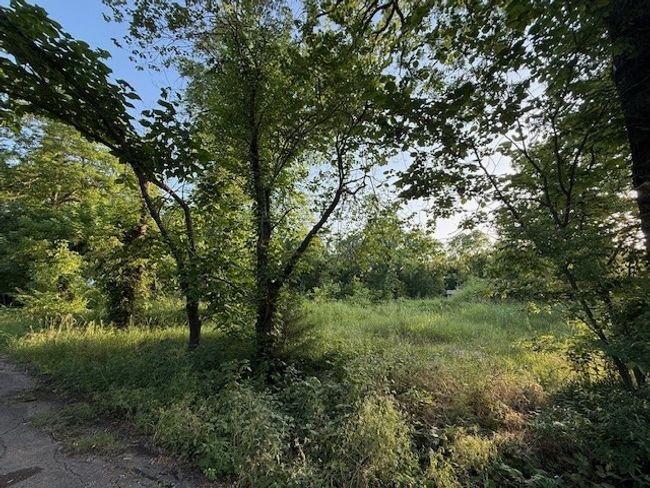 202 Elm St, Home with 0 bedrooms, 0 bathrooms and null parking in Roxton TX | Image 12