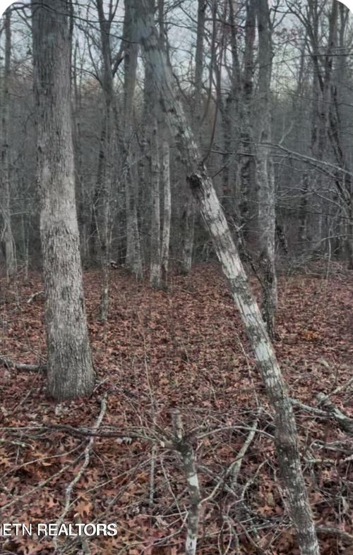 0 Crystal Pt, Monterey, TN, 38574 | Card Image