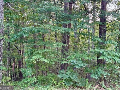 0 Gilreath Mill Rd, Menlo, GA, 30731 | Card Image