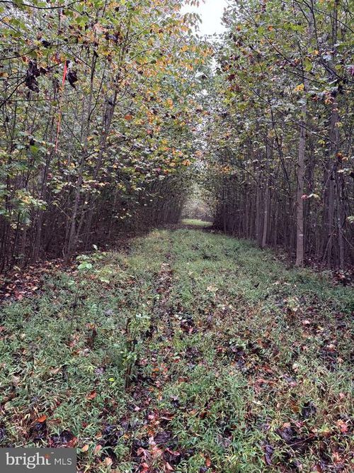 0 W Hoover Rd, MADISON, VA, 22727 | Card Image