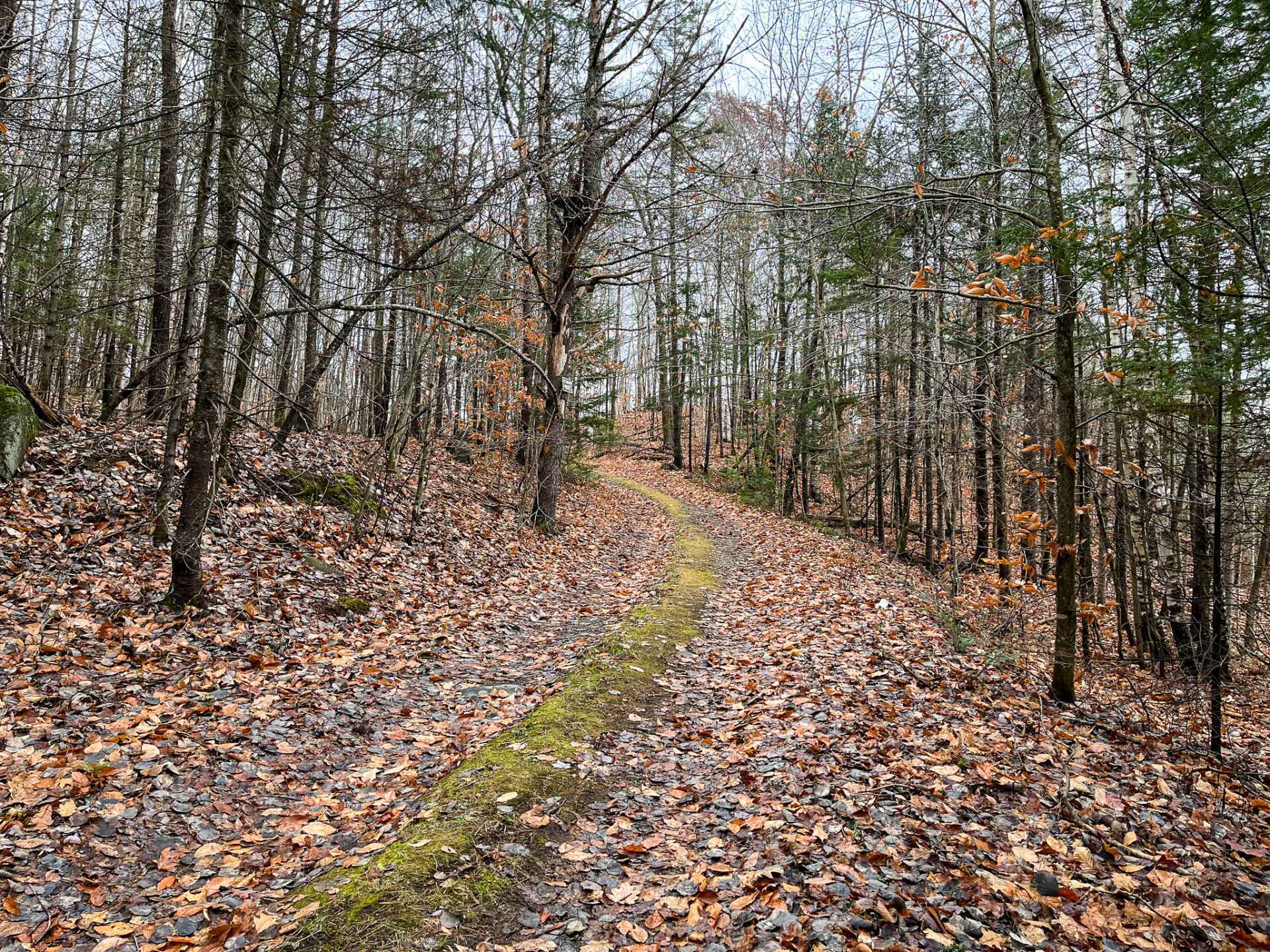 Land in Sainte-Adèle 3