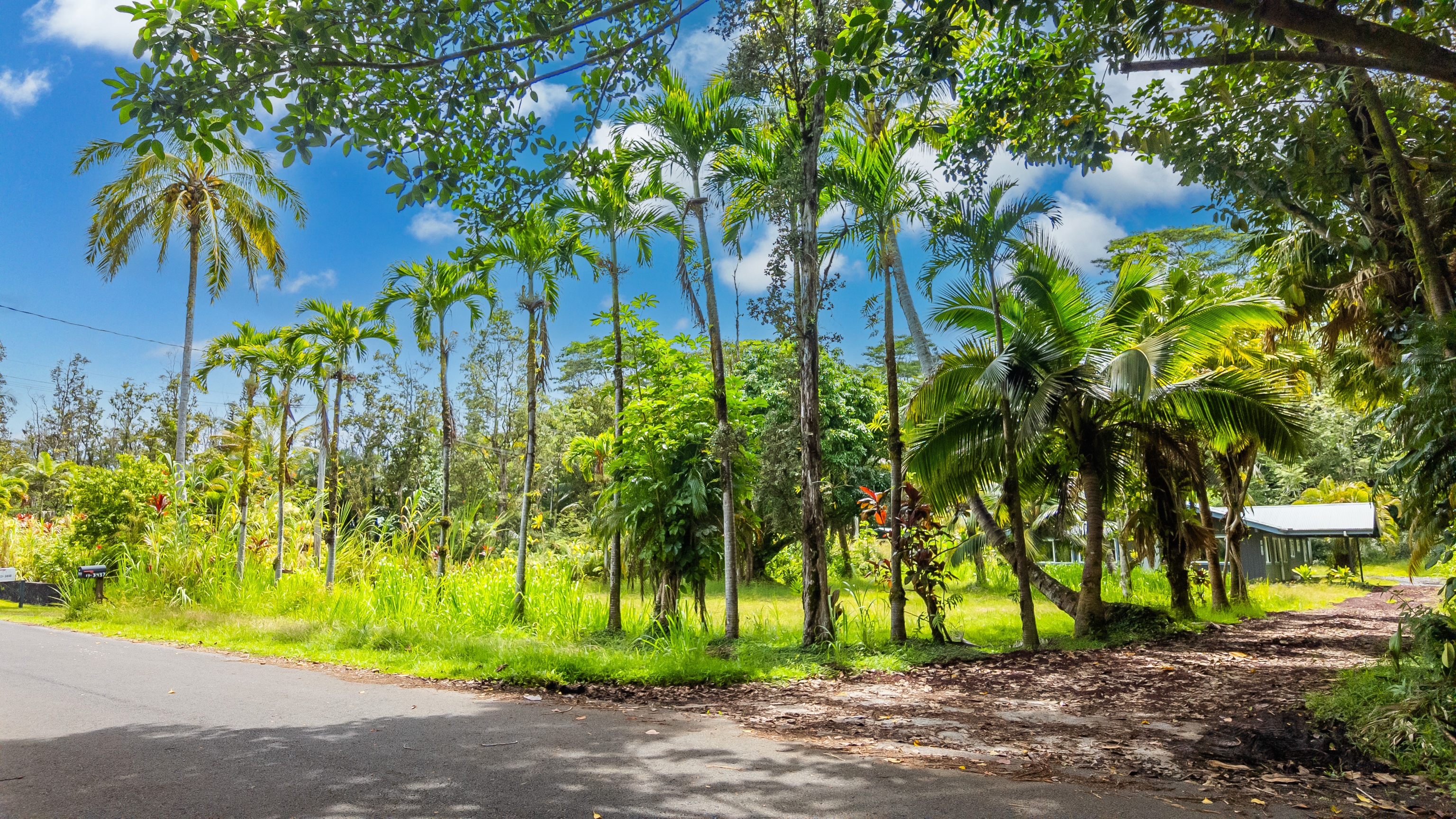 Residential in Pahoa 2