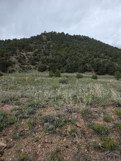8099 County Road 28, Cotopaxi, CO, 81223-8735 | Card Image