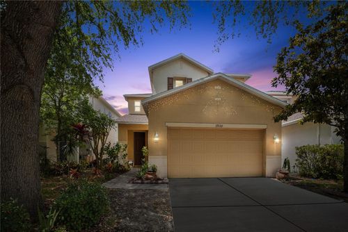 17539 Balmaha Dr, Land O Lakes, FL, 34638-7848 | Card Image