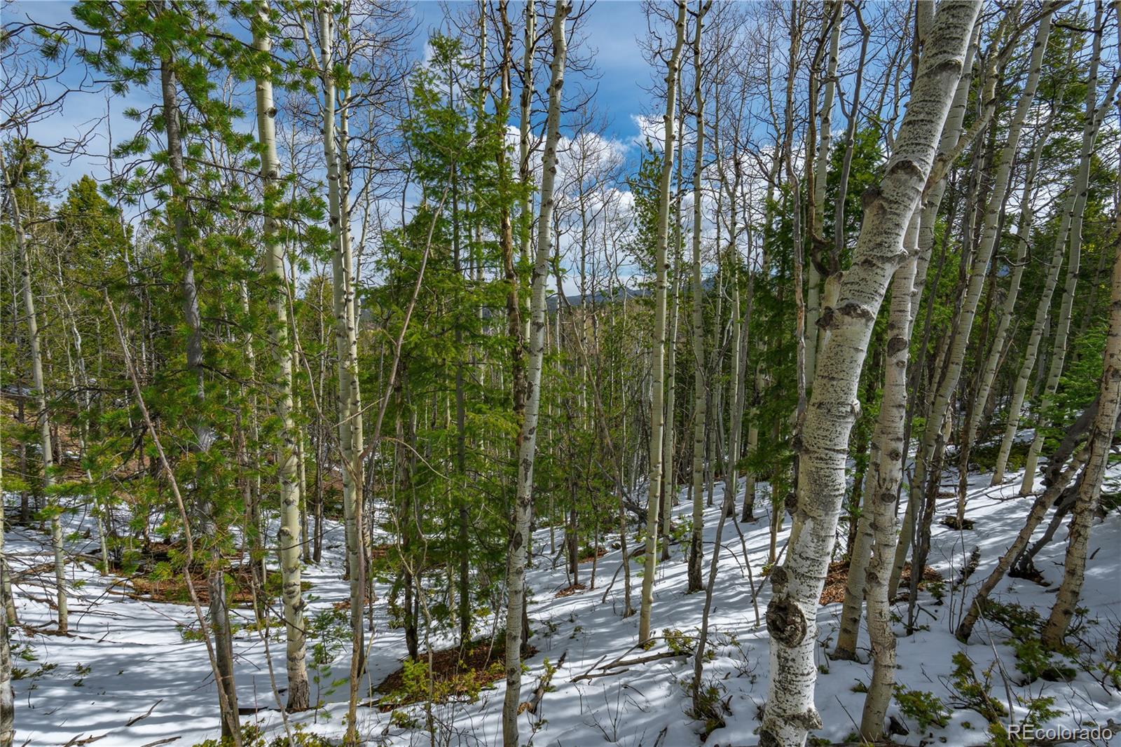 Land in Cripple Creek 2