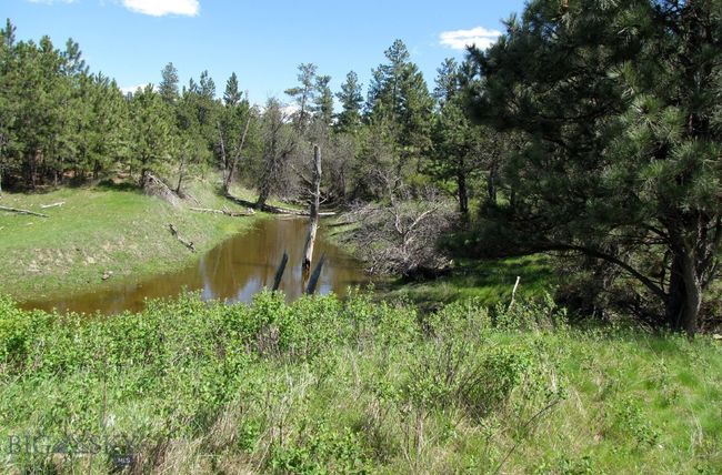 Full Seasonal Pond | Image 43