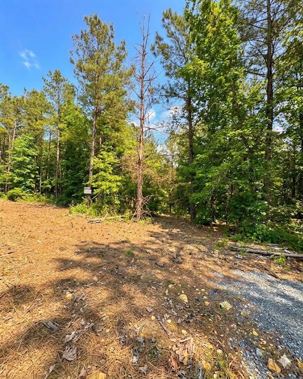 Land in Broken Bow
