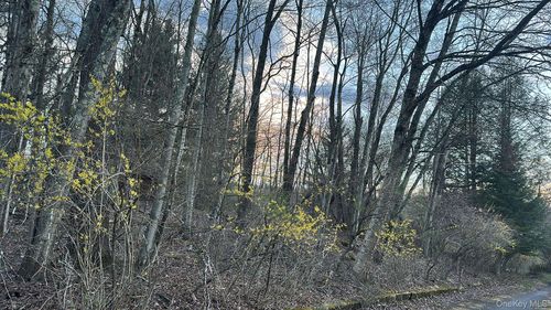 TBD Diane Blvd, Woodridge, NY, 12789 | Card Image