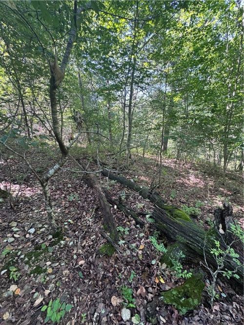 10 Gretton Lane, Bella Vista, AR, 72714 | Card Image