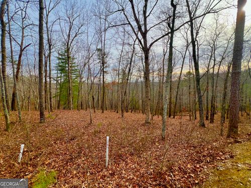 208 Harris Ridge Dr, Ellijay, GA, 30536 | Card Image