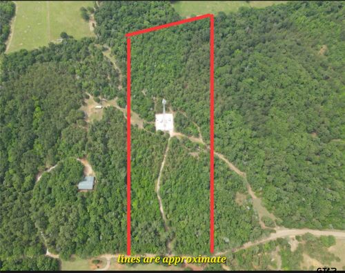TBD 16 +/- AC Vz County Road 4814, Ben Wheeler, TX, 75754 | Card Image