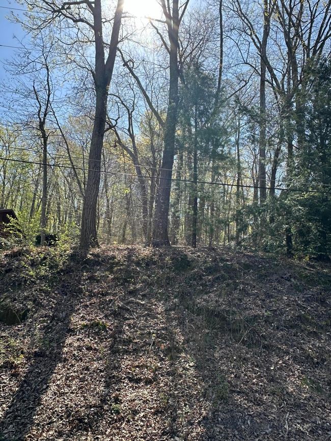 View of lot | Image 4