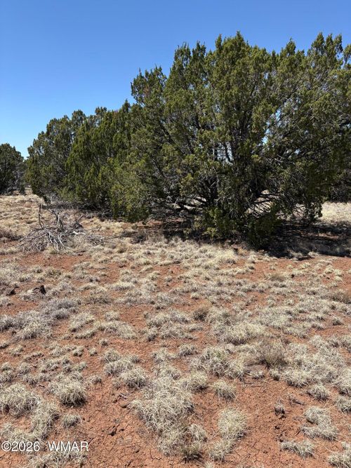 20 Se 8715 Road, Concho, AZ, 85924 | Card Image
