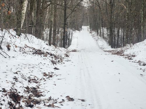 ON Roe Lake Rd, RHINELANDER, WI, 54501 | Card Image