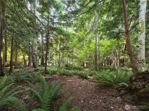 0 Cirque Dr, Brinnon, WA, 98320 | Card Image